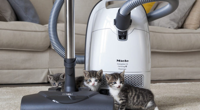 Comparison Review: Miele Complete C3 Cat & Dog vs Kona; Which Canister  Vacuum is Better for Pets and High Pile Carpets? | Pet My Carpet