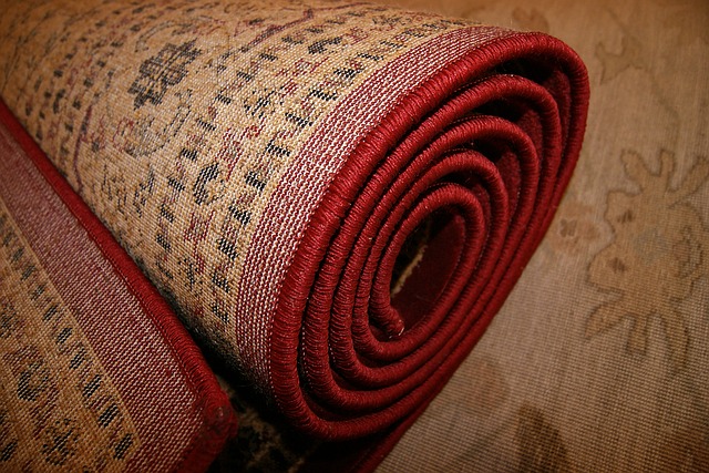 https://www.petmycarpet.com/wp-content/uploads/2017/12/petmycarpet-carpet-remnants-pros-cons-buying-faq-warranty.jpg